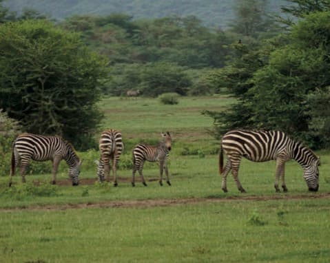 Dr. Christian Ruck - Persönliche Aufnahme 7